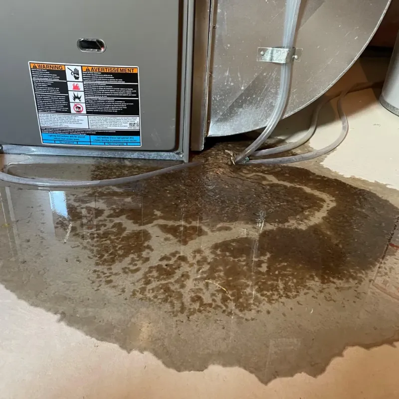 Appliance Leak Cleanup in Centreville, AL